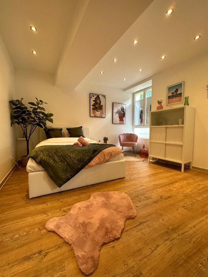 Le Petit Marnais - 15mn Disneyland - 25mn Paris Appartement *