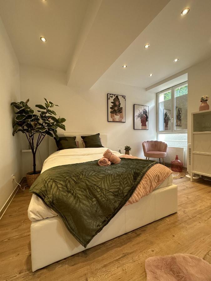 Appartement Le Petit Marnais - 15mn Disneyland - 25mn Paris Pomponne